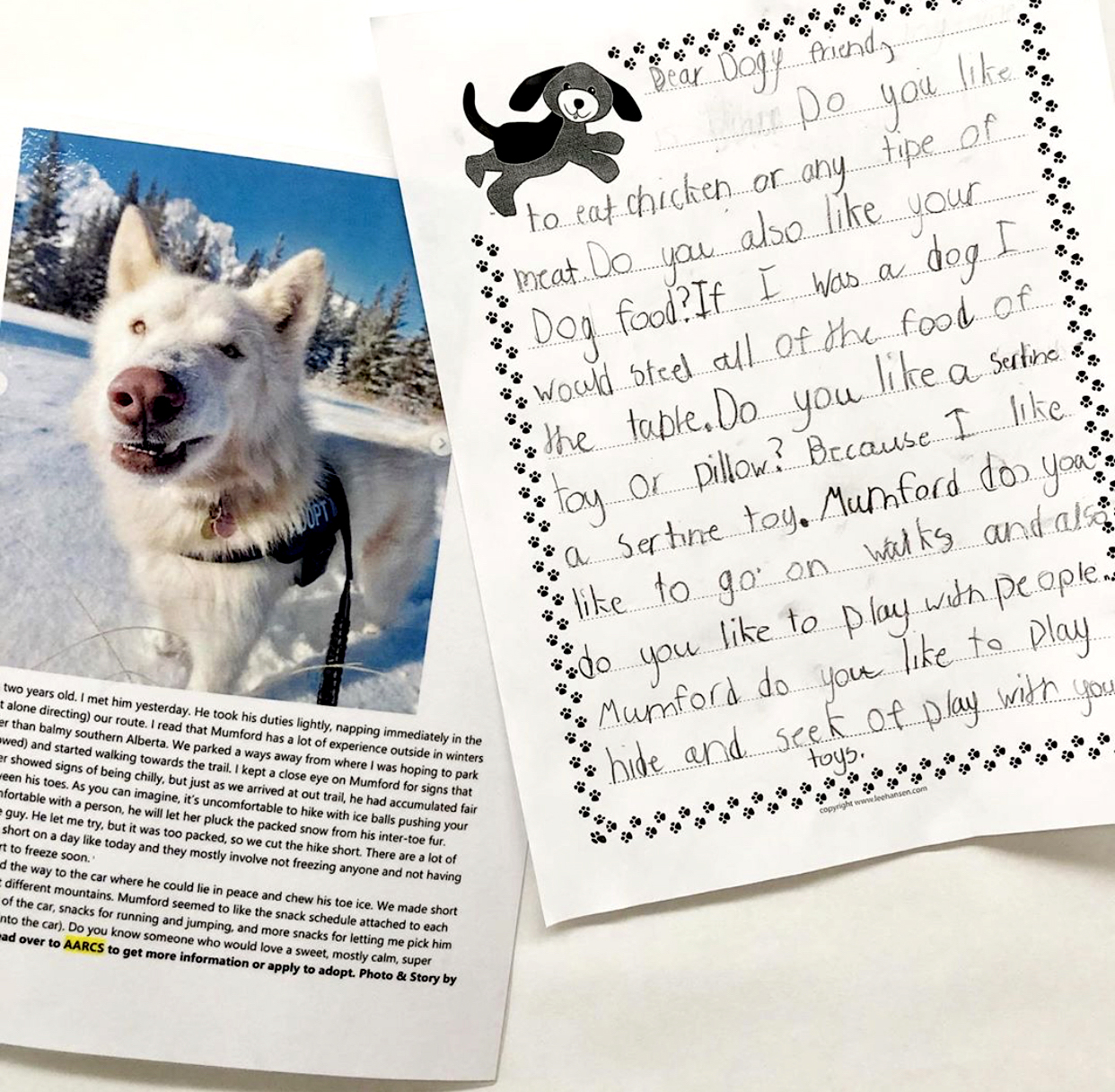 Dog painting and bio