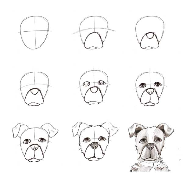 Dog Sketches